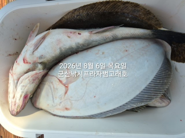KakaoTalk_20260806_161146142_04.jpg