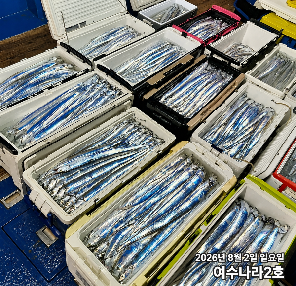 12176224-7669-46DB-ADAF-FBF26DCD15C0.png