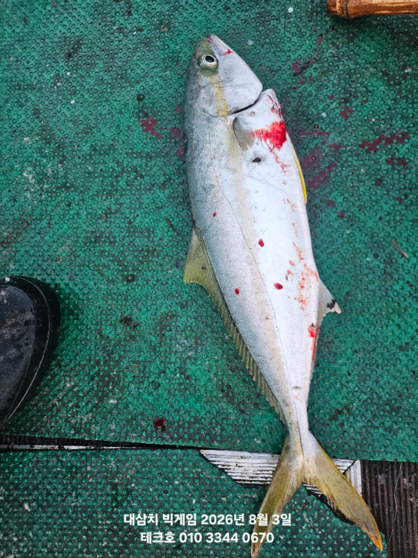 KakaoTalk_20260803_153447195_04.jpg