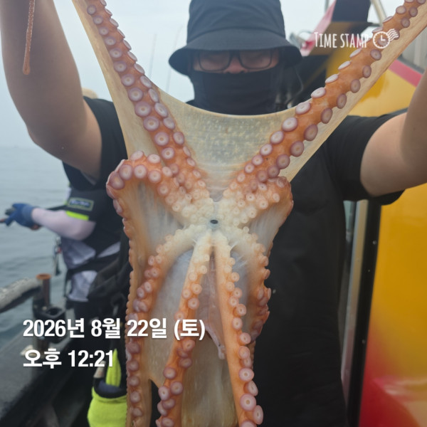 공현진낚시마트(돌핀호)_사진_20260822_11.jpg