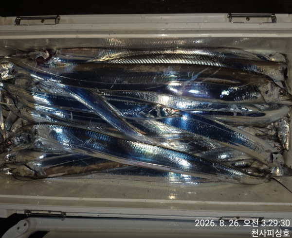 1004피싱_사진_20260826_6.jpg