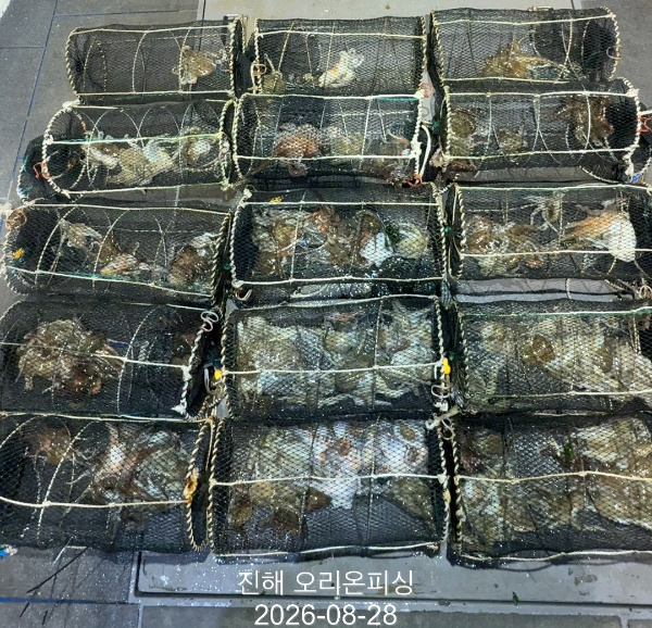 KakaoTalk_20260828_023951133_12.jpg