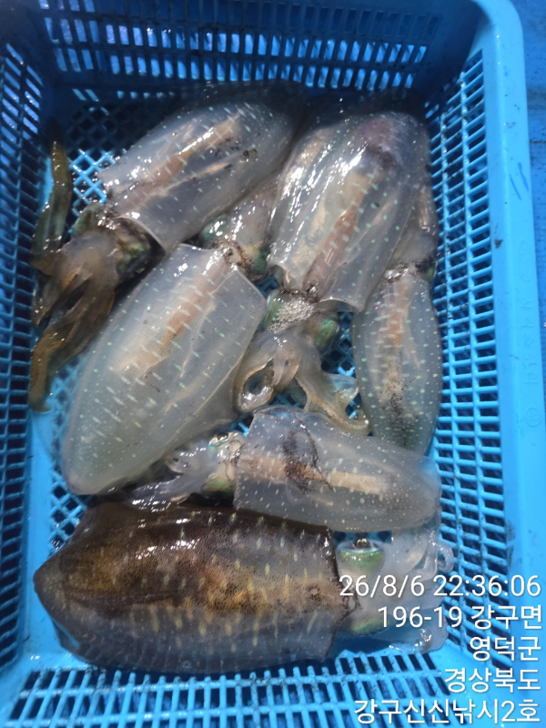 신신낚시 강구점 신신호_사진_20260807_8.jpg