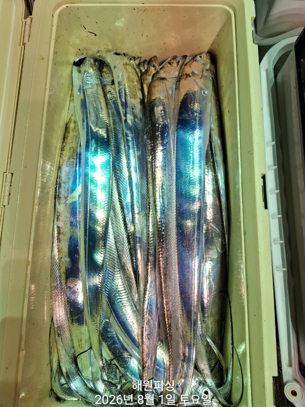 1000036072.jpg