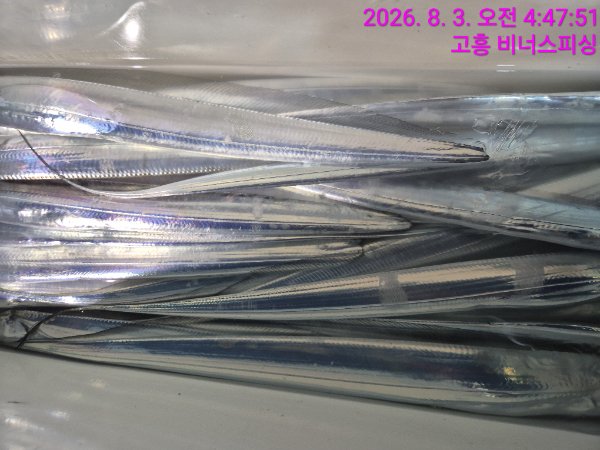 1000054574.jpg