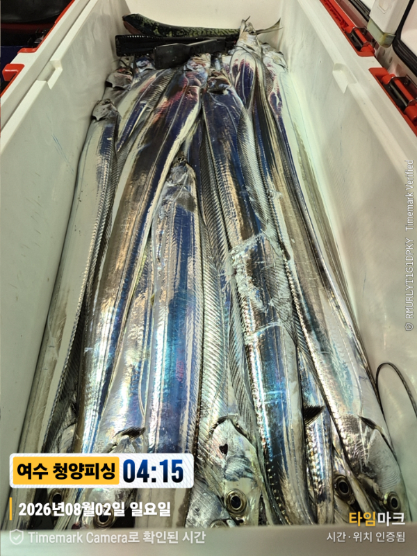 2026-08-02 04.15.03__(제목-여수 청양피싱).jpg