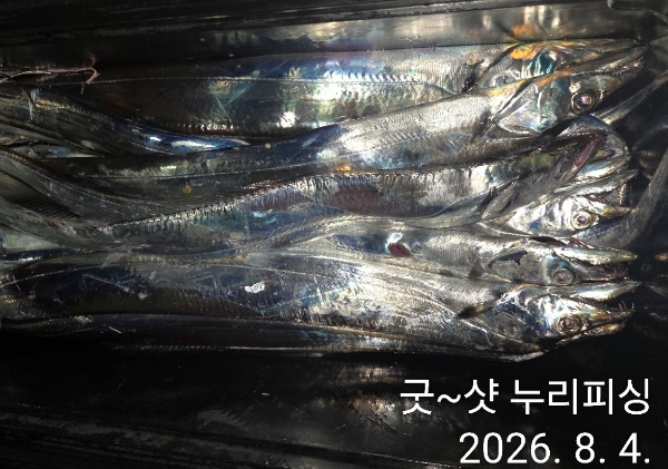 90787.jpg