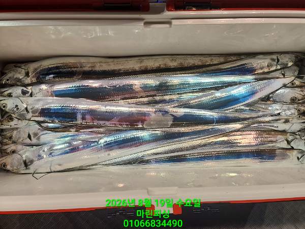 KakaoTalk_20260819_082312915_22.jpg