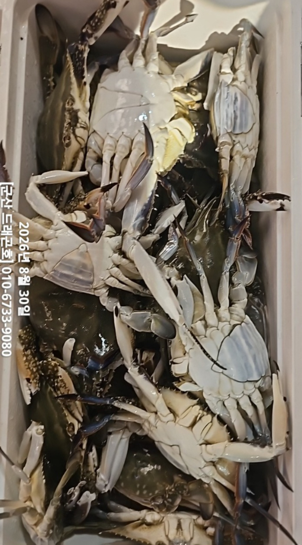 1000107130.jpg