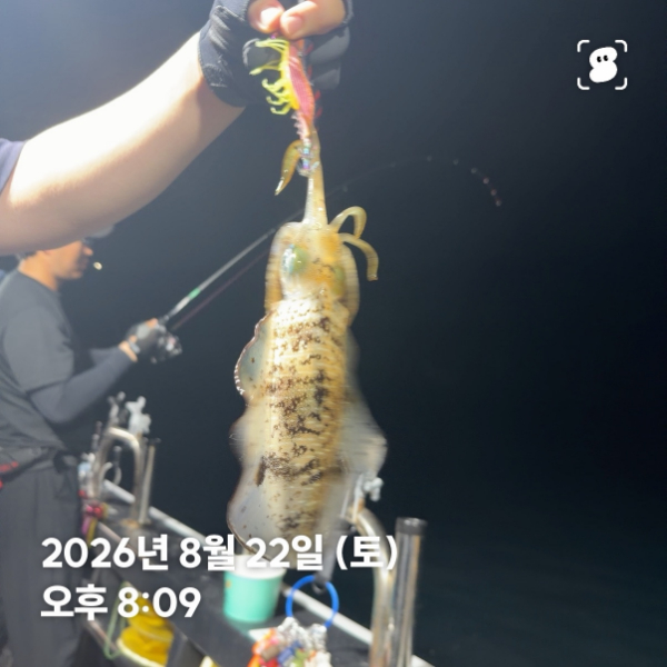신신낚시 강구점 신신호_사진_20260823_4.jpg