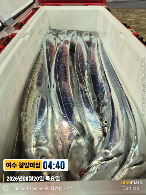 2026-08-20 04.40.47__(제목-여수 청양피싱).jpg
