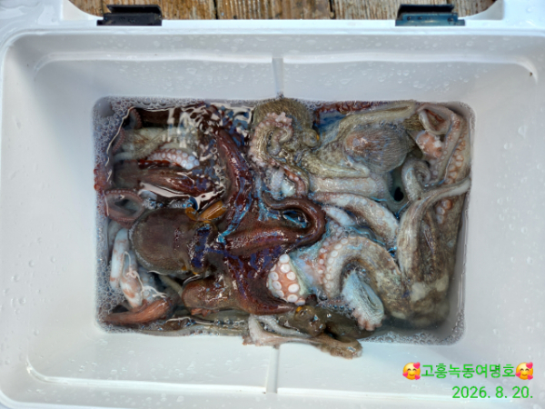 쎄븐피싱클럽(선상 버스출조전문)_사진_20260821_12.jpg