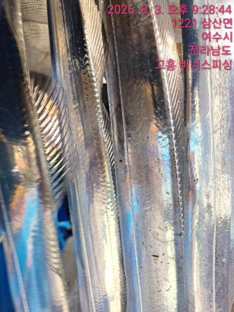 1000054632.jpg