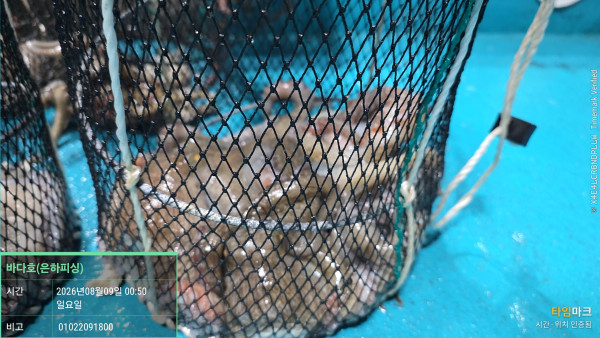2026-08-09 00.50.26__(제목-바다호(은하피싱))_(비고-01022091800).jpg