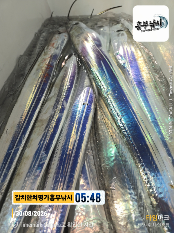 2026-08-30 05.48.29__(제목-갈치한치명가흥부낚시).jpg