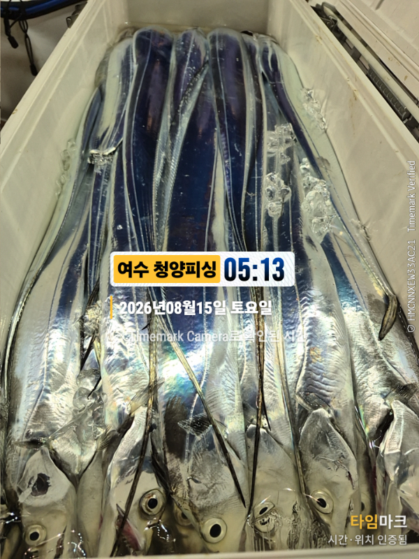2026-08-15 05.13.39__(제목-여수 청양피싱).jpg