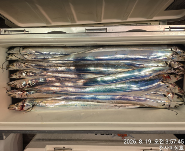 1004피싱_사진_20260819_7.jpg
