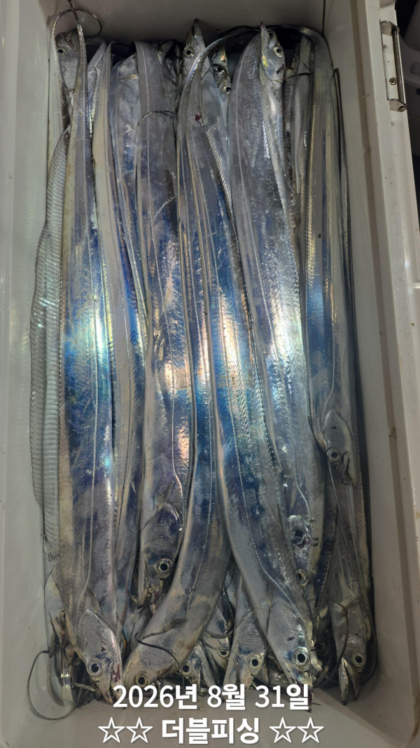 49038.jpg