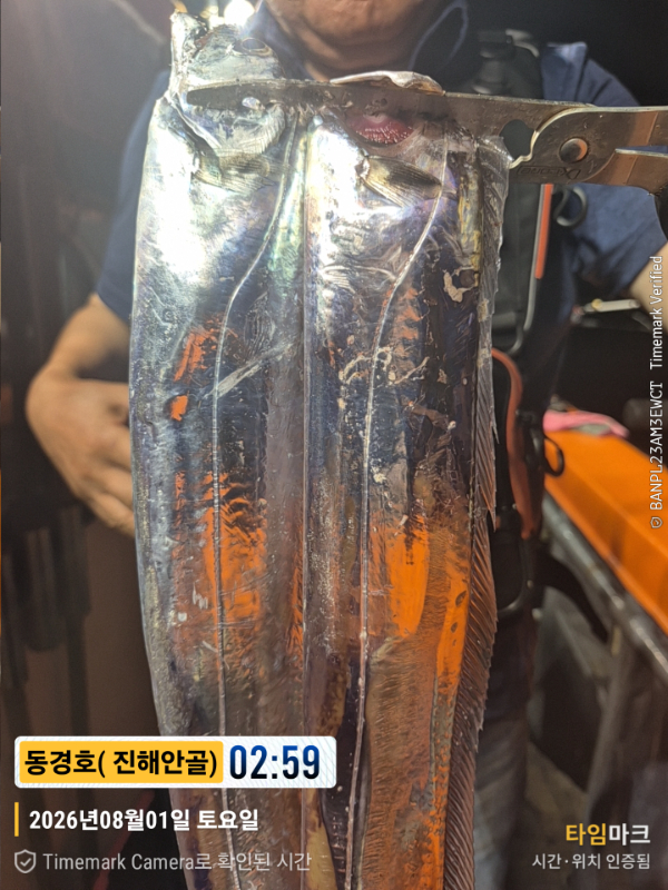 2026-08-01 02.59.41__(제목-동경호( 진해안골)).jpg