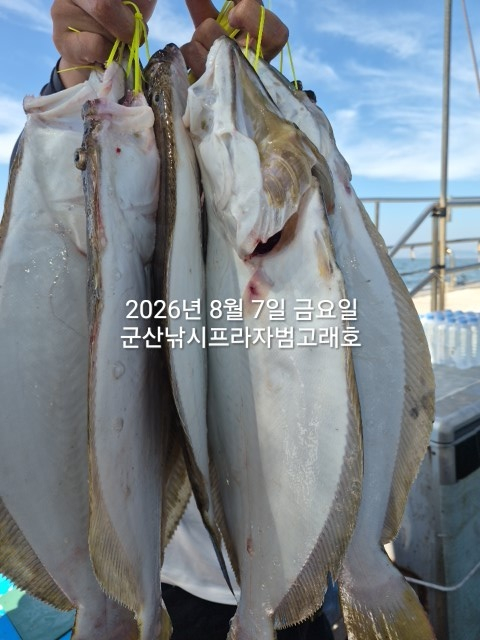 KakaoTalk_20260807_154956921_12.jpg