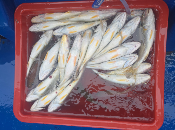 KakaoTalk_20260815_172546727_04.jpg