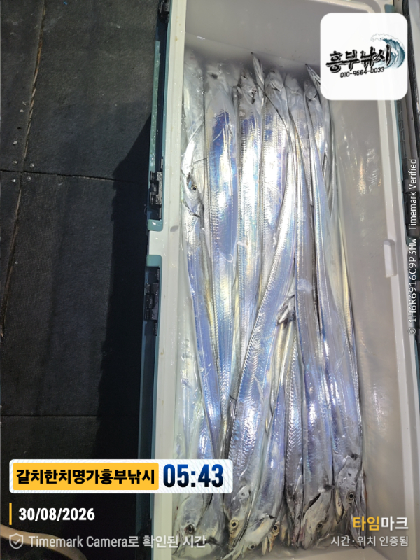 2026-08-30 05.43.36__(제목-갈치한치명가흥부낚시).jpg