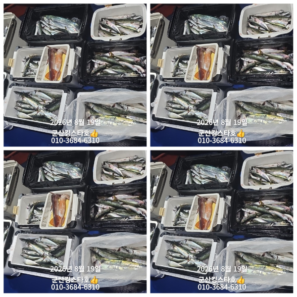 PhotoCollage_1787078414485.jpg