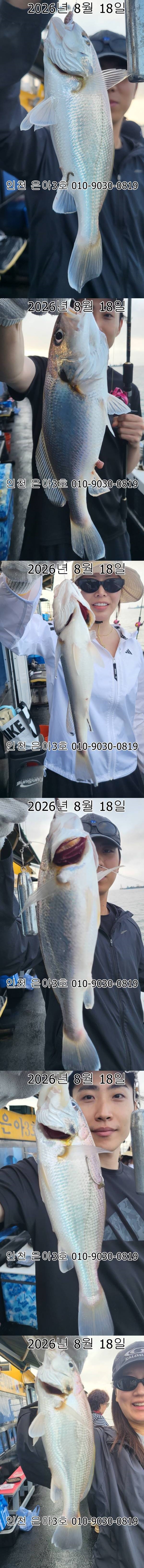 1111.jpg