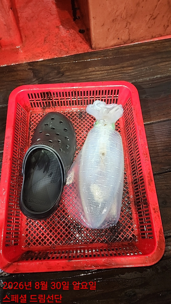 쎄븐피싱클럽(선상 버스출조전문)_사진_20260830_23.jpg
