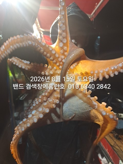 1000062275.jpg