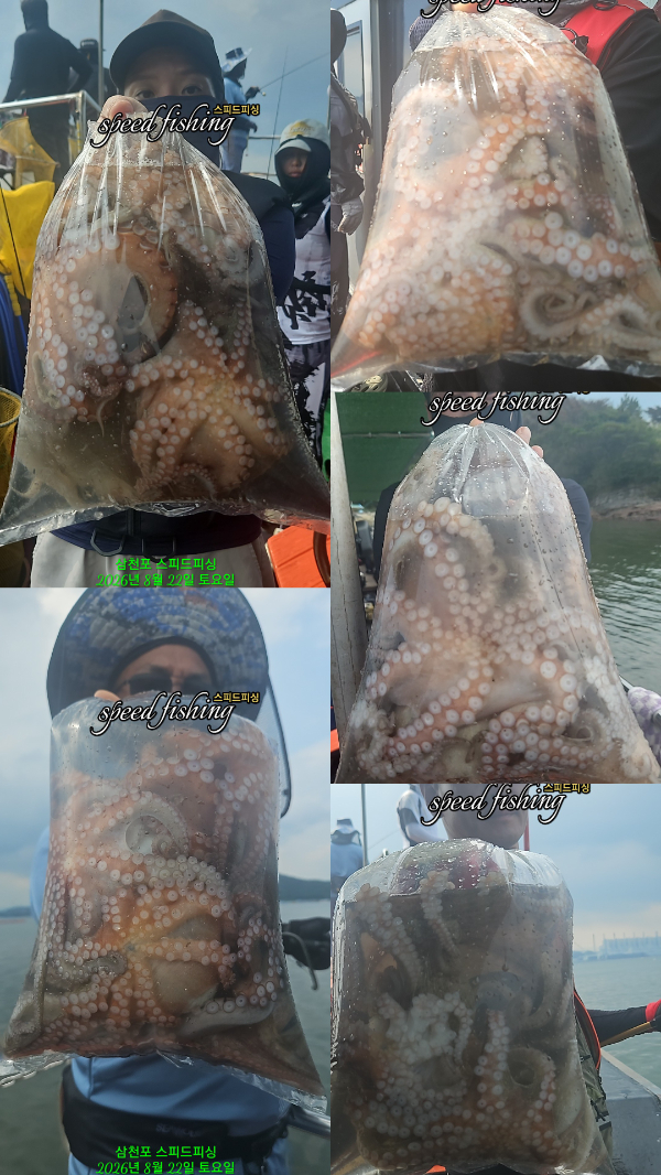 KakaoTalk_20260822_205803344_02.jpg