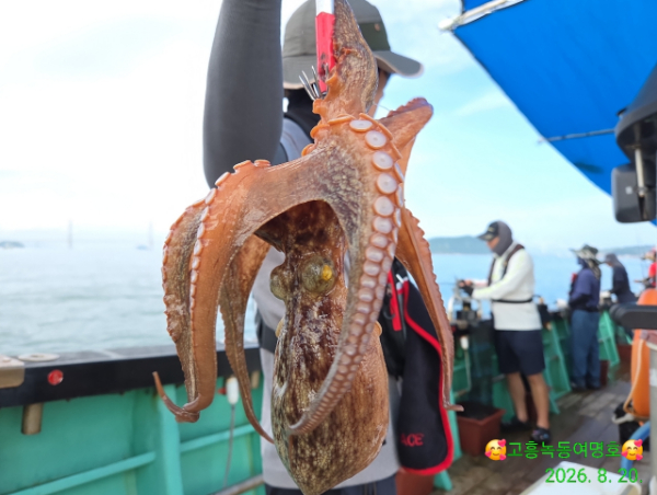 쎄븐피싱클럽(선상 버스출조전문)_사진_20260821_14.jpg