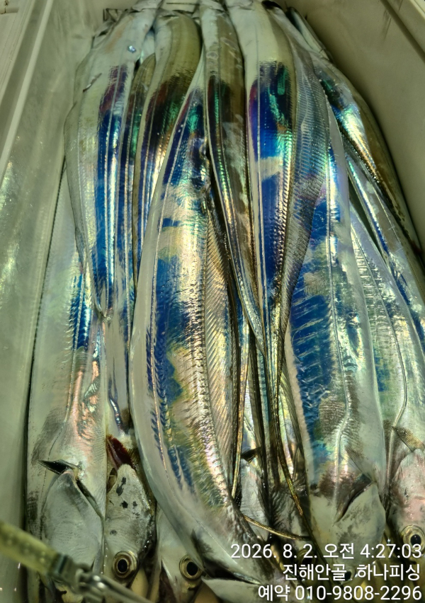 100162.jpg