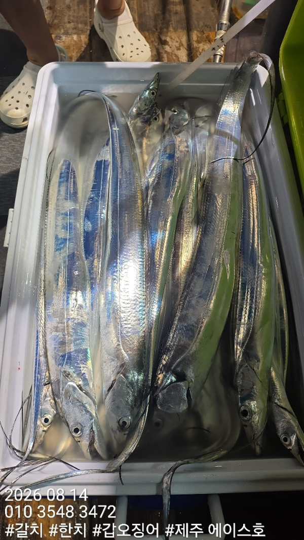 KakaoTalk_20260814_140317579_05.jpg