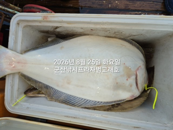 KakaoTalk_20260825_165834940_01.jpg