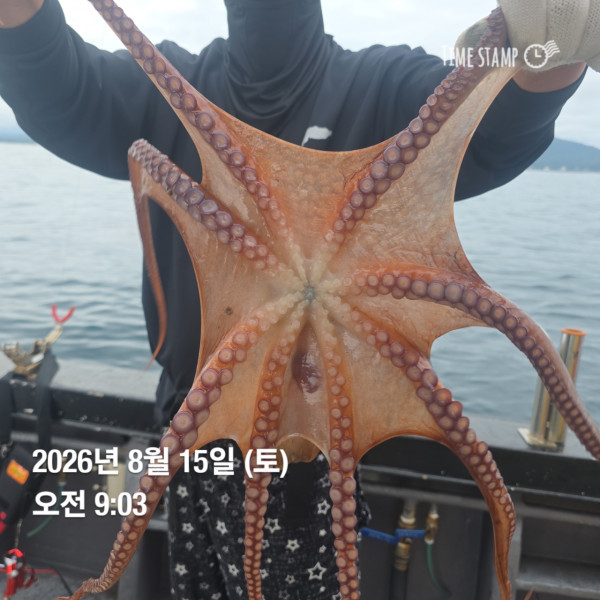 공현진낚시마트(돌핀호)_사진_20260815_6.jpg