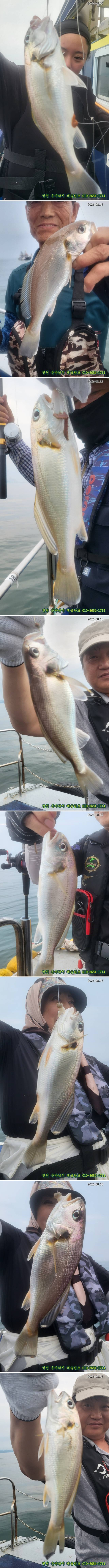 113.jpg