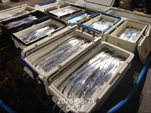 1787259062303.jpg