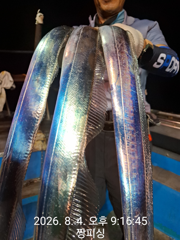 1000081438.jpg