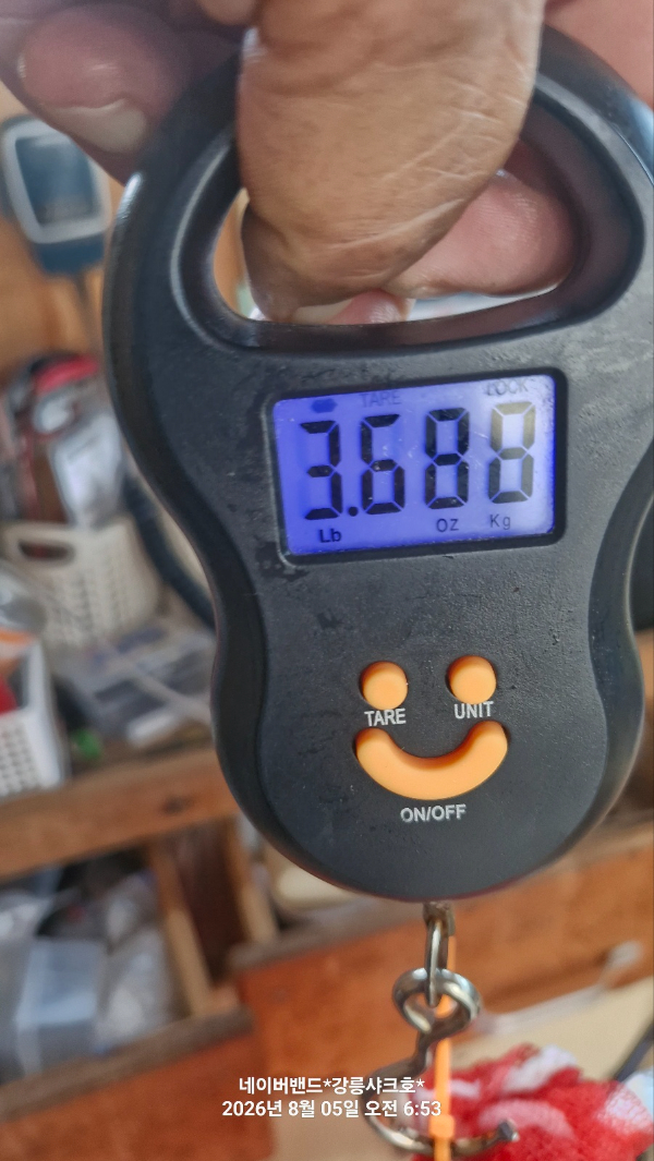 1785912300259.jpg