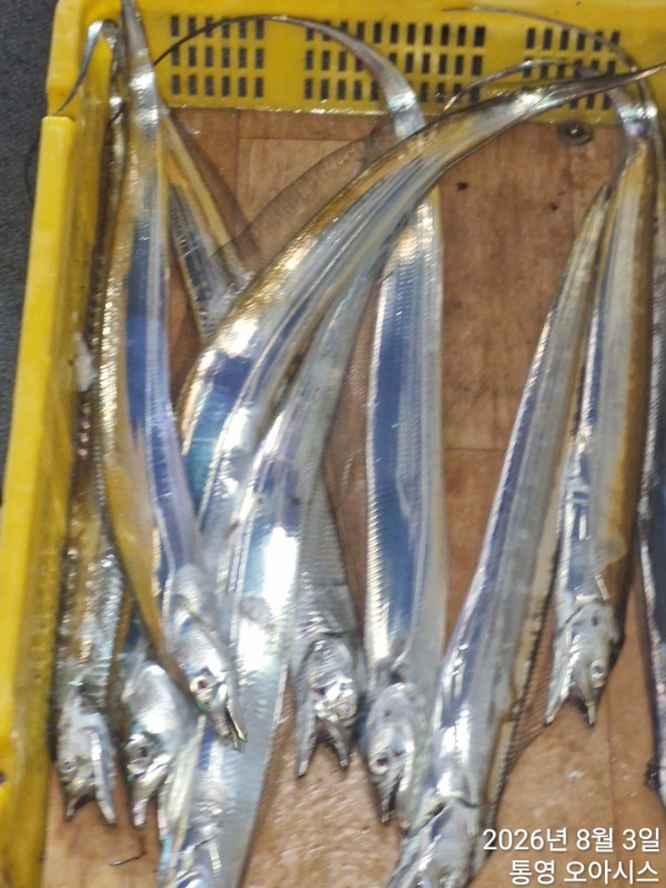 80242.jpg