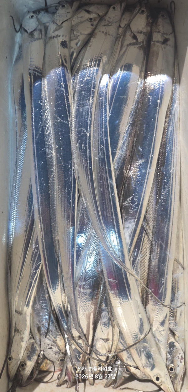 80845.jpg