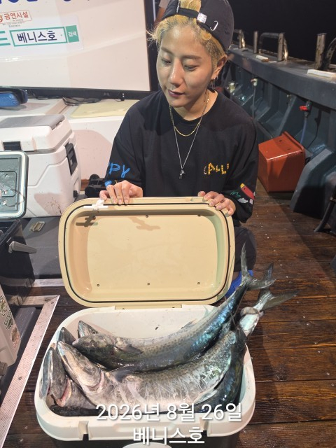 KakaoTalk_20260826_032732050.jpg