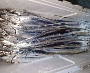 80350.jpg