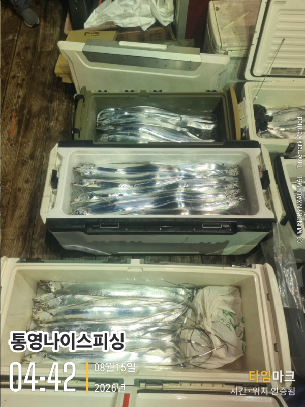 2026-08-15 04.42.01__(통영나이스피싱).jpg