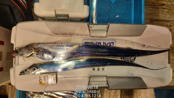 23680.jpg
