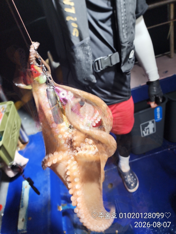 IMG_20260807_212107.979_NR.jpg