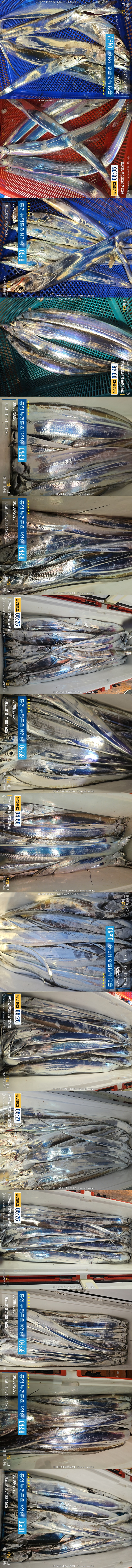 8-30갈치2.jpg