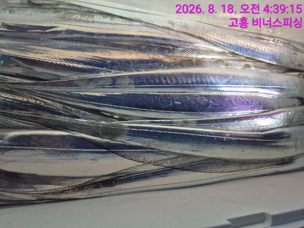 1000054951.jpg