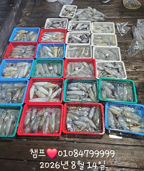 1000062133.jpg